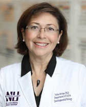 Luisa Iruela-Arispe